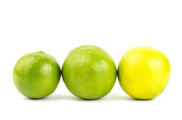 Lime
