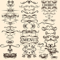 Collection of vector calligraphic elements
