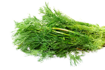 Frischer Grüner Dill