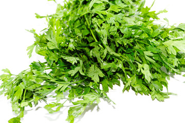 Frische Grüne Petersilie