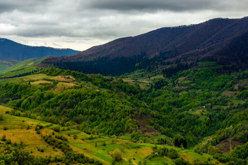 Fototapeta na wymiar village on hillside meadow with forest in mountain