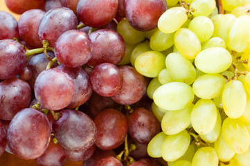 fresh grapes