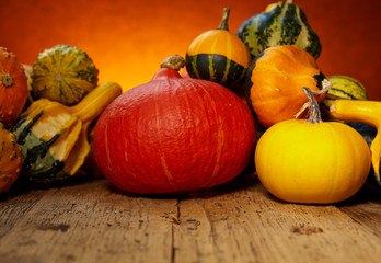 Autumn nature concept. Pumpkin on wooden table.