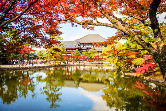 The wooden tower of To-ji Temple in Nara Japan is the largest te