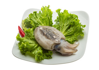 Raw cuttlefish