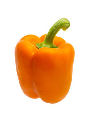 Orange Bulgarian pepper
