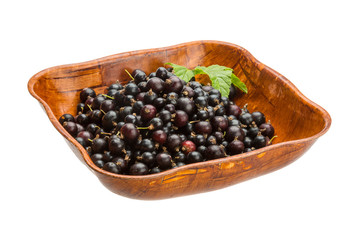 Black currant