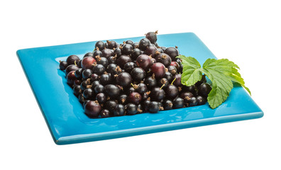 Black currant