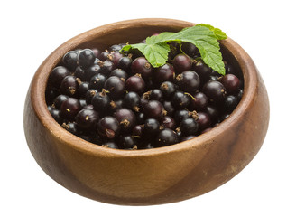 Black currant