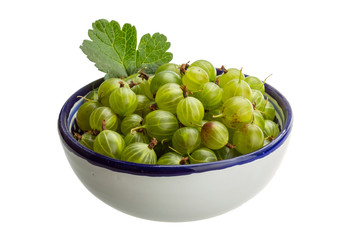 Gooseberry