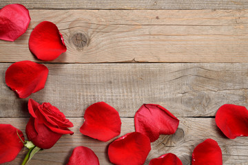 Red rose and petals on wooden background