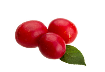 Damson plum