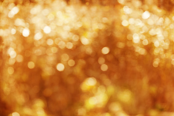 Autumn, fall background. Gold abstract bokeh defocused lights bl