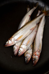 Fresh smelt on  with lemon