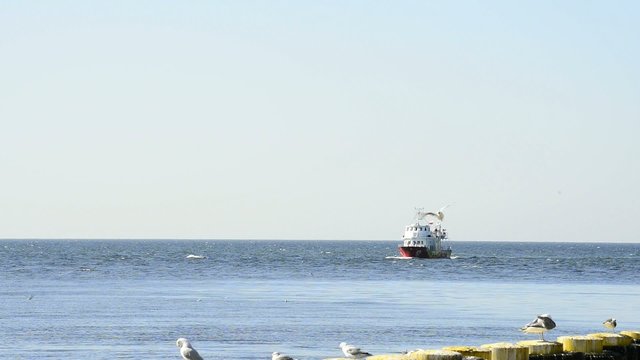 Hafen von Kolberg mit Ausflugsboot