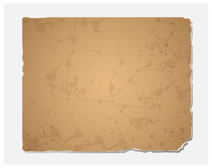 Blank grunge recycled paper texture.Vector file