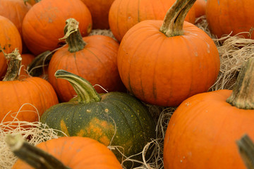 pile of pumpkins