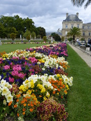 Les fleurs