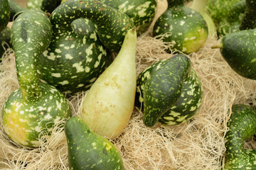 pile of gourds