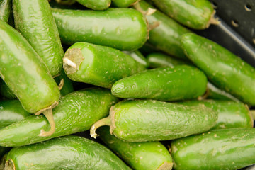 fresh market fruits and vegetables