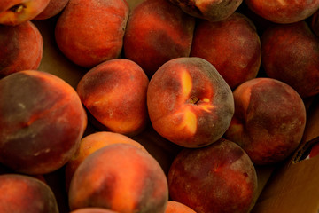 fresh market fruits and vegetables