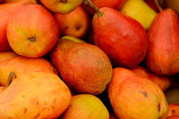 fresh market fruits and vegetables