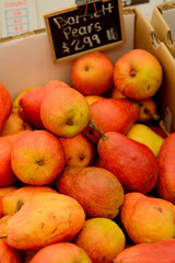 fresh market fruits and vegetables