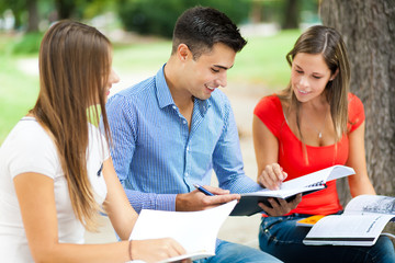 Fototapeta premium Happy students studying outdoor