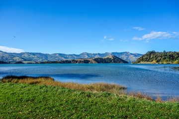 New Zealand 43