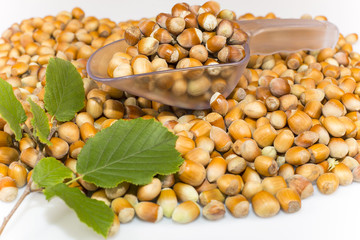 hazelnuts