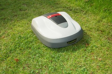 Rasenroboter  beim Rasenmähen