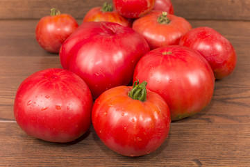 tomatoes giants