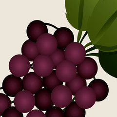 Fruits design