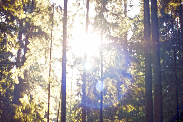 spring field and mountains no focus