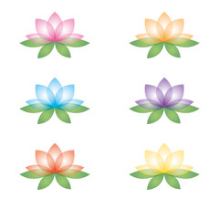Set of lotus flowers on a white background