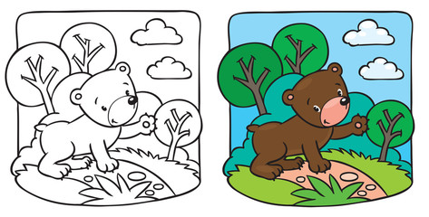 Obraz premium Little teddy bear coloring book