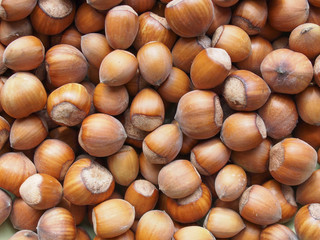 hazelnuts