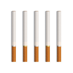 Vector Set of Cigarettes Isolated on White
