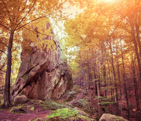Huge stone in the autumn forest