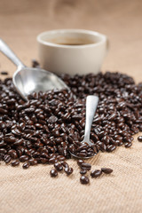 coffee bean