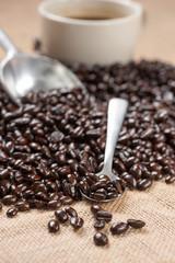 coffee bean