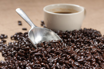 coffee bean