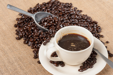 coffee bean