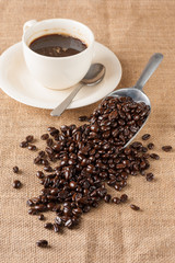 coffee bean
