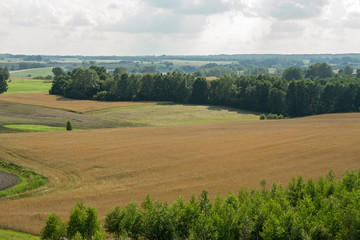 sown fields