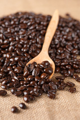 coffee bean