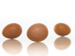 Frühstückseier 