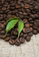 Coffee background
