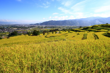長野県千曲市姨捨の棚田
