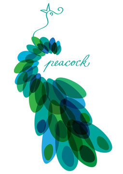 abstract vector background with peacock silhouette